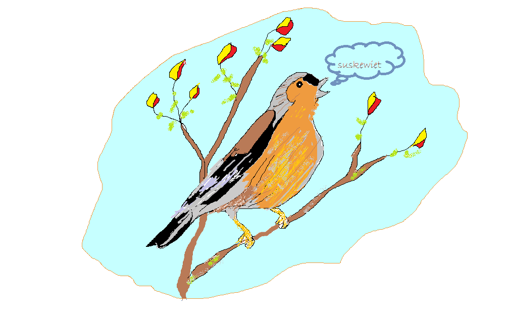 Kunnen vogels praten? Een voorleesverhaal voor de kleintjes.